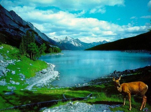 lago-y-montanas-1024-x-7681